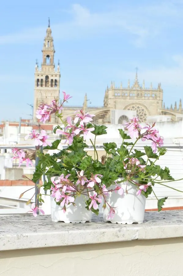 Homeyseville-Amazing Penthouse Giralda Views 8 Pax, Parking Optional דירה סביליה